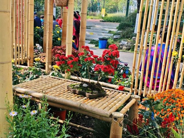 坐地铁，打卡武汉第42届金秋菊展