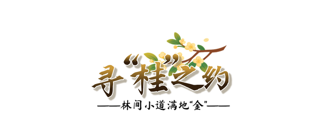 欢聚吴江· “香”遇桂花季丨上线了！吴江赏桂地图！