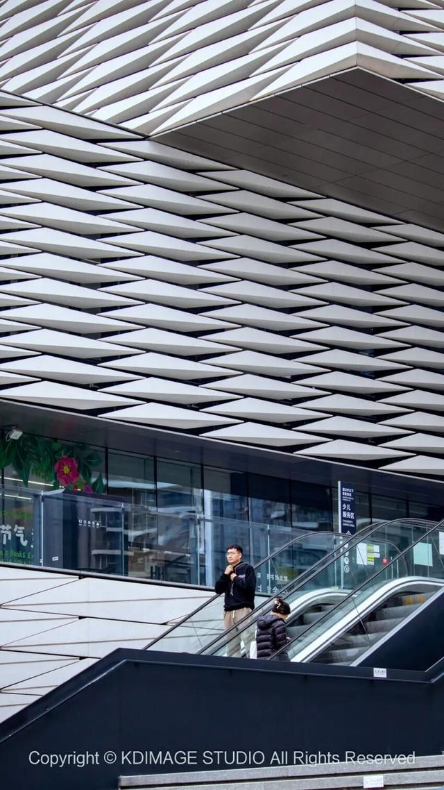 ​别再说深圳是文化沙漠！这份双馆暴走攻略，让你重新认识这座城市