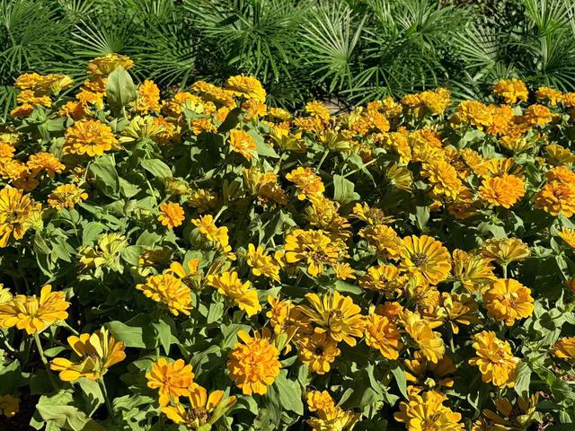 iPhone Air上手：苹果这次将手机做成了艺术品