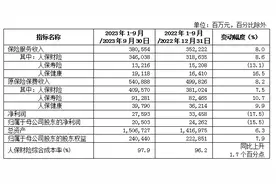 中国人民保险集团发布2023年前三季度业绩图片