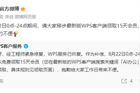 WPS突现故障，补偿方案公布→图片