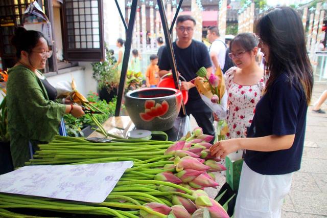江苏苏州：山塘街荷花俏销 感受初秋浪漫