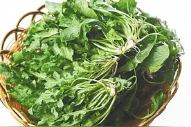 海南周刊·季候物语丨春天的味道图片