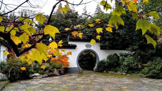 人在画中游！来上海郊野，骑进自然乡野秋韵里