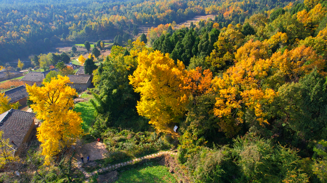 出发！来四川淘“金”