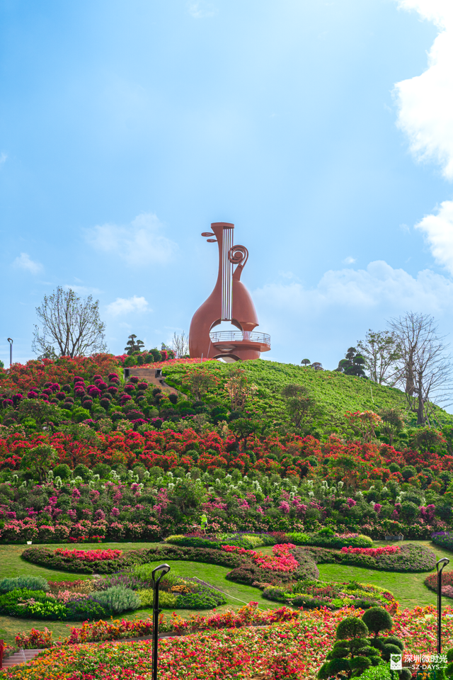 先睹为快！深圳巨型新地标启用，就在明天！