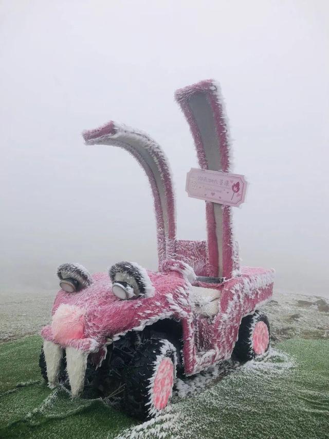 美到词穷！郴州首场雾凇惊艳上线