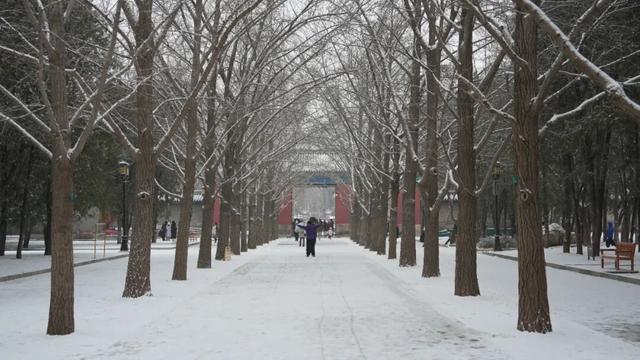 京城初雪！一大波雪景美图来了