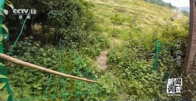 新闻调查丨户外探险事故频发 如何规范管理“越界”行为？