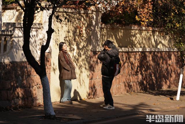 八大关枫叶抓紧看