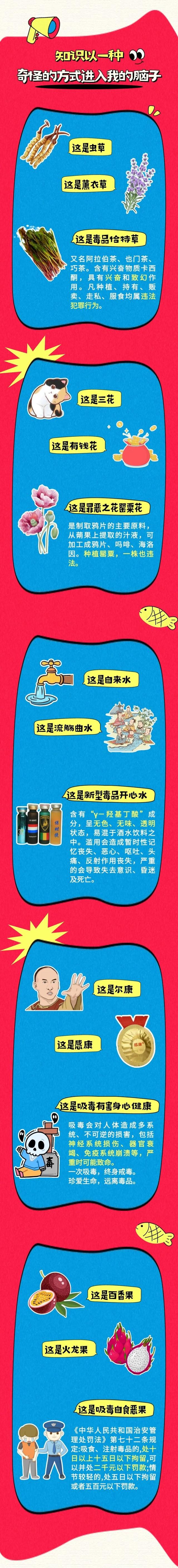 速进，一起来“玩梗”！