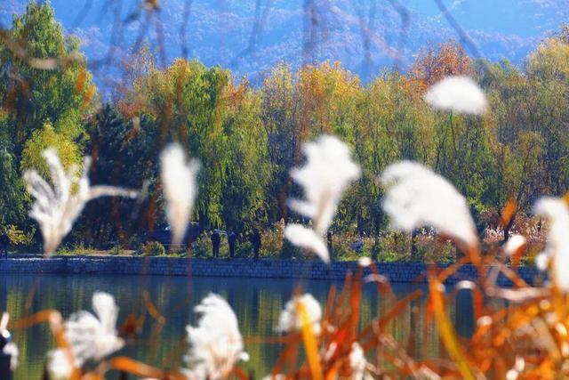 还在找威海初冬小众打卡地？这条河岸藏着惊喜