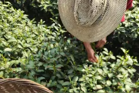 沂水县创新推出美德积分信用贷款，半年贷出22.36亿元图片