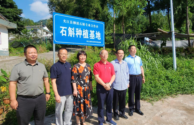 我国哪里产的石斛最好 三种人不宜吃石斛