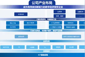 走进神州泰岳：探路2B2C数字化布局图片