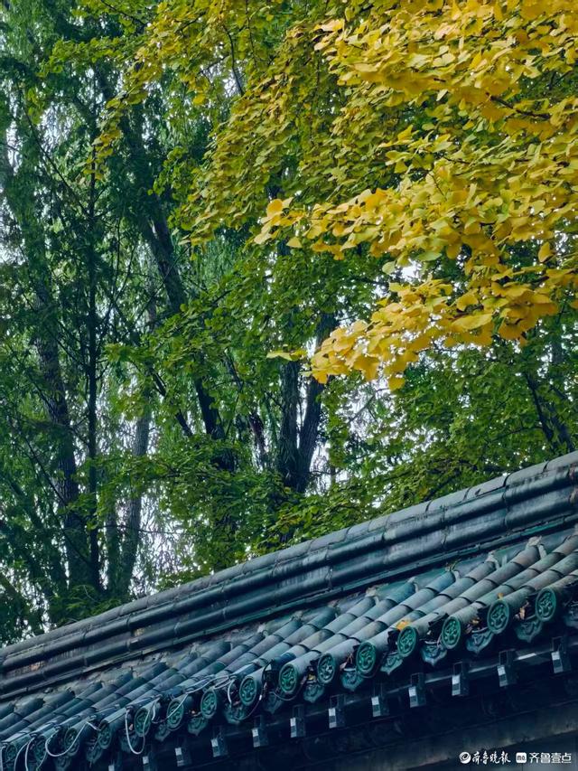 金秋时节的五龙潭