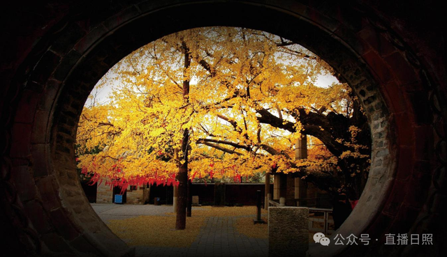 低调了千年！是时候重新认识一下莒县了！