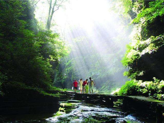 入画山水间 四川旺苍邀您邂逅生态诗意画卷