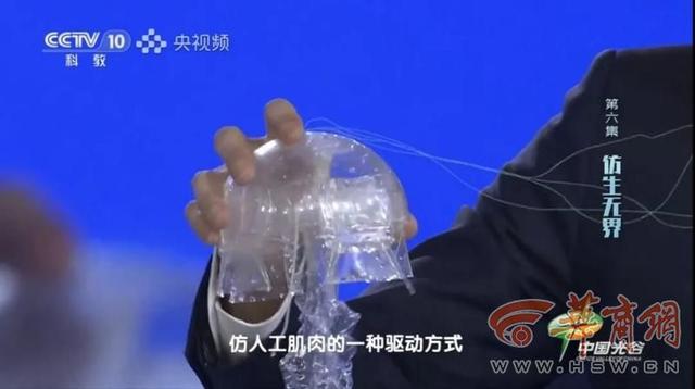 深海魅影！西工大研制出“水下幽灵”——仿生水母机器人