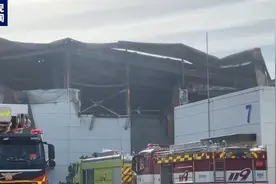 中国人为啥去韩国打工？每月基本工资万元出头  但保险缴纳与当地员工不完全相同图片