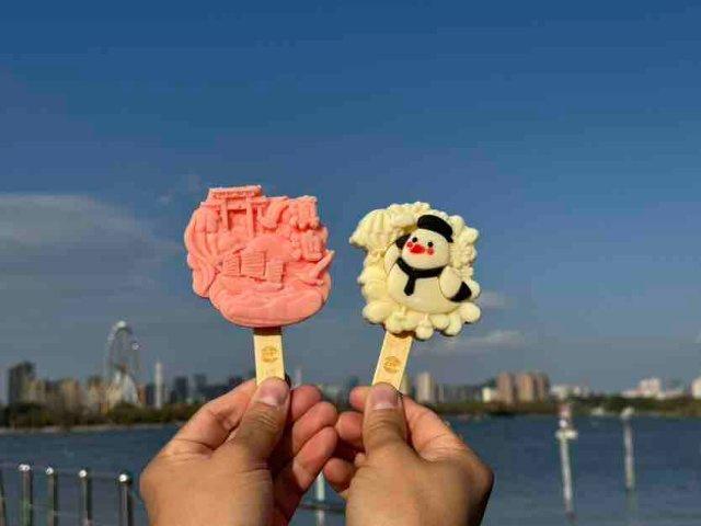 鸥气云南②丨暖心“鸥”遇！就在这场人鸥同乐的双向奔赴里……