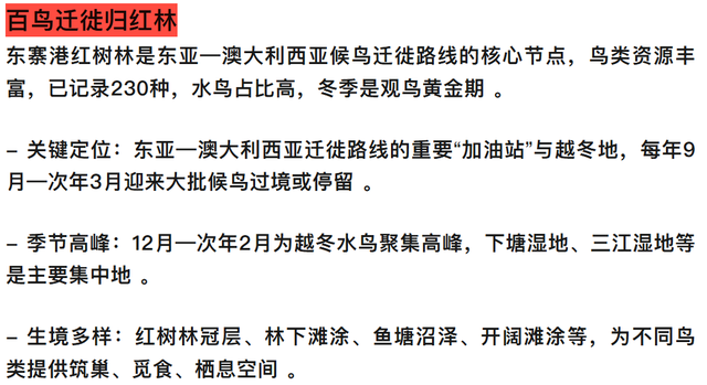 观鸟东寨港· 把一片红树林带回家