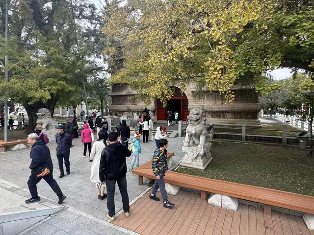 游客为柿子而来，五塔寺里有一处网红拍照点