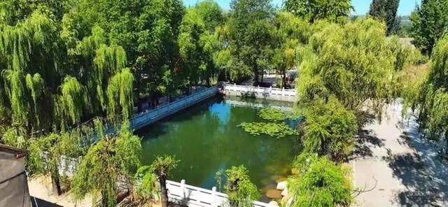 汶源蜜桃熟了！请查收这份中国蜜桃之乡的夏日“邀请函”