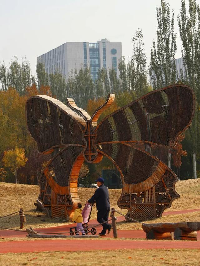 听，呼和浩特秋天的BGM正在你耳边播放