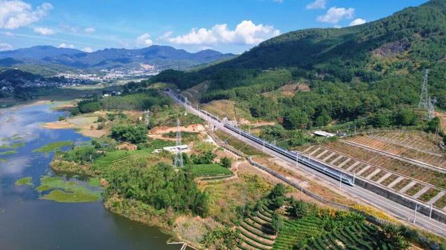去勐海品茶，这条线路超火