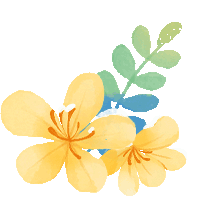 一张门票一日游，打包青岛冬日海底+海上精华的路线攻略来啦