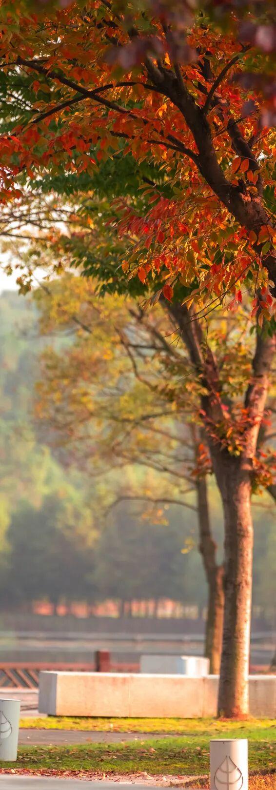 跟着这条线路，周末赏秋去！