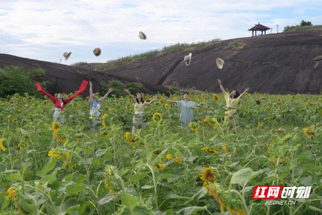 组图 | 安仁渡口乡：丹霞葵花开 美景醉游客