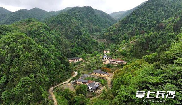 云雾溪流烟火气，沩山“圈”来度暑客