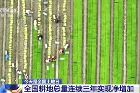 严守耕地红线！全国耕地总量连续三年实现净增加图片