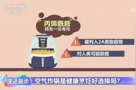 空气炸锅炸出来的薯条致癌物严重超标？需要重视，但不必恐慌图片