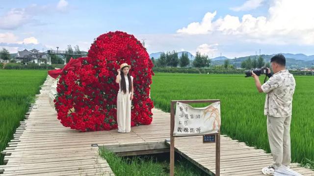 高质量跨越发展⑥ | 10天+旅居客超20万，累计600万人次！昭通避暑旅居经济火热“出圈”