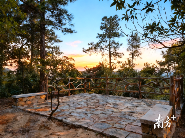 农文旅频现“爆款”，中山有何出圈密码？｜百千万·看中山