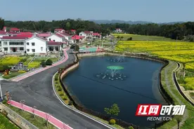 小山塘润泽大民生——长沙县金井镇小微水体治理助力乡村振兴图片