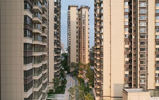专访严飞：迷失无助的现代人，为什么需要“附近”