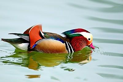 蒙顶观沧海 岱崮耀齐鲁