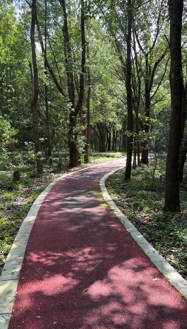 上海已建成193个开放休闲林地，“走得进去”的同时如何“留得住人”？