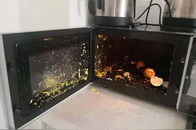 微波炉加热食物这些知识要掌握图片