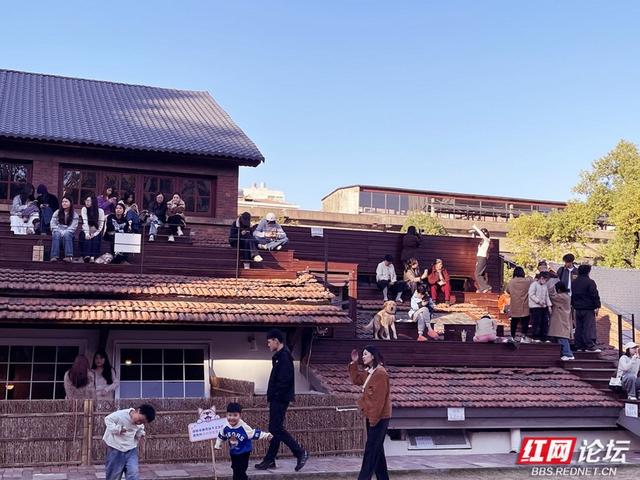 机油未冷，茶烟正起：在曙光茶厂与历史共饮