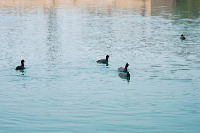 全部免费!西安4个冬日晒太阳好去处!