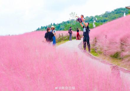 这样的浪漫花海，真的不来看看？