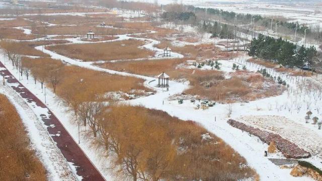 乘着高铁冬游南海 解锁宝藏旅居目的地