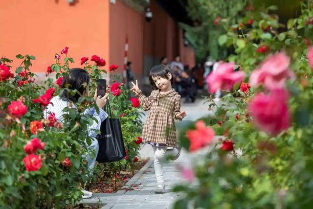 《中国国家旅游-天桥专辑》出版发布 解锁天桥文旅融合新图景