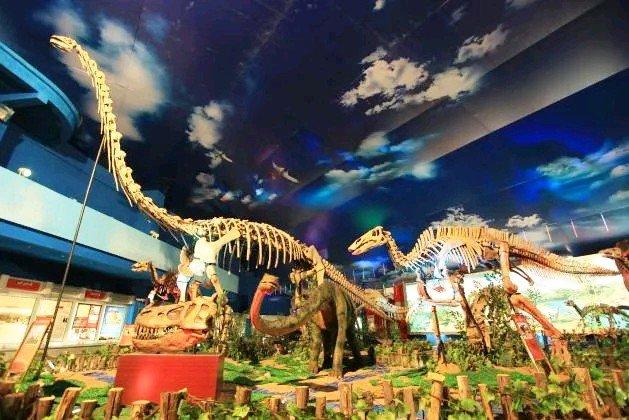 潍坊诸城：文旅活力足